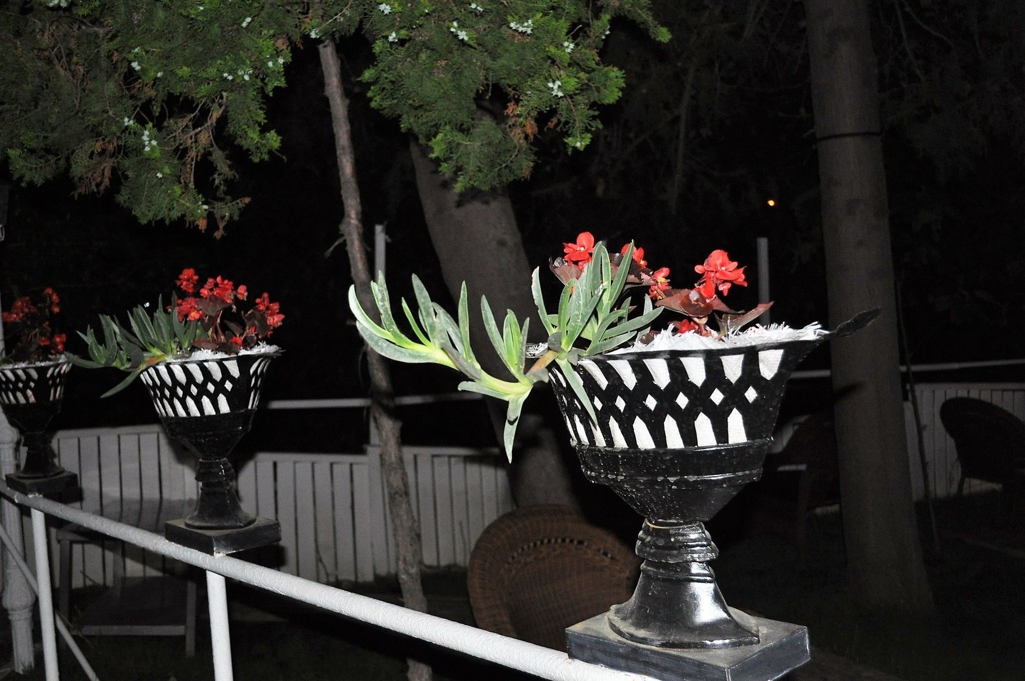 מהמוטלר Syedra Princess Hotel מראה חיצוני תמונה