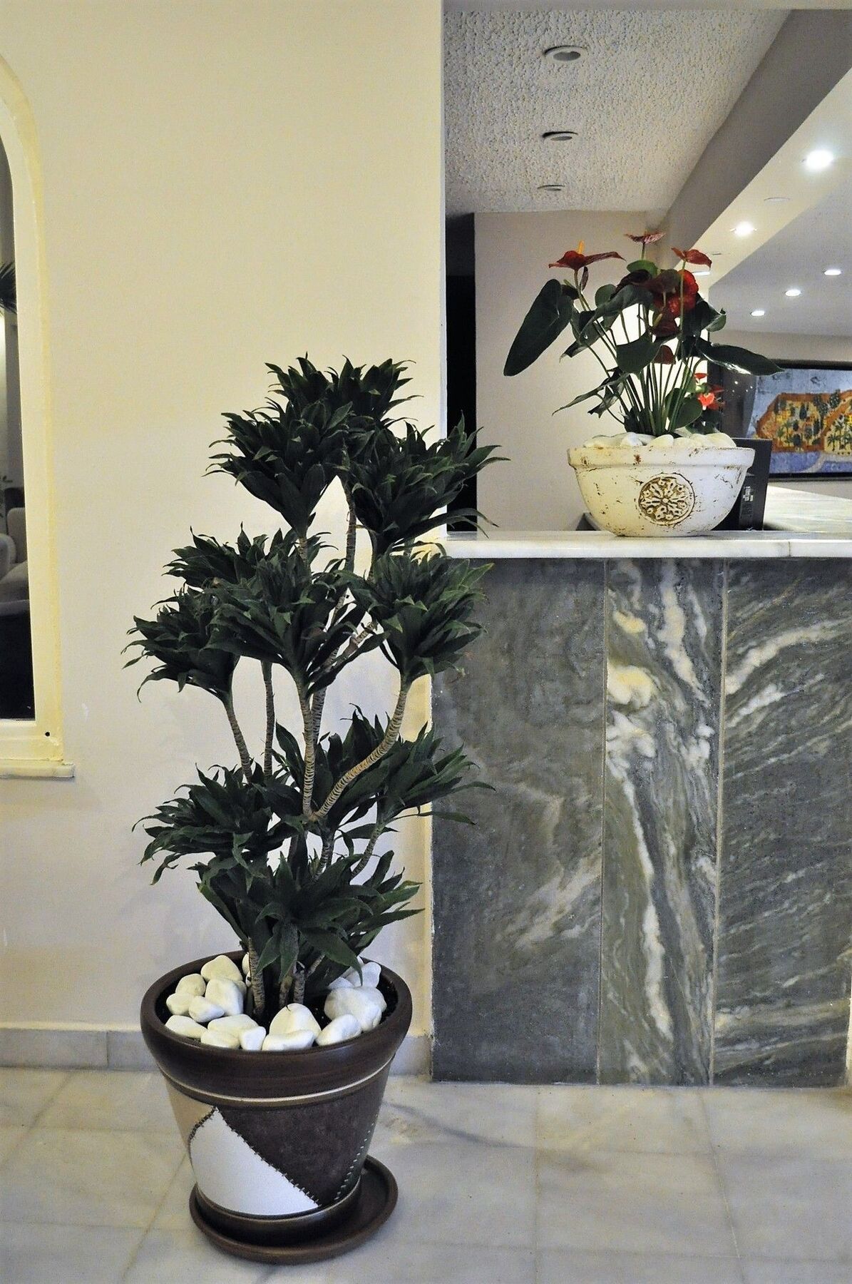 מהמוטלר Syedra Princess Hotel מראה חיצוני תמונה